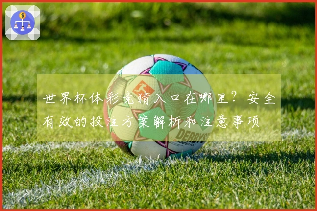 世界杯体彩竞猜入口在哪里？安全有效的投注方案解析和注意事项