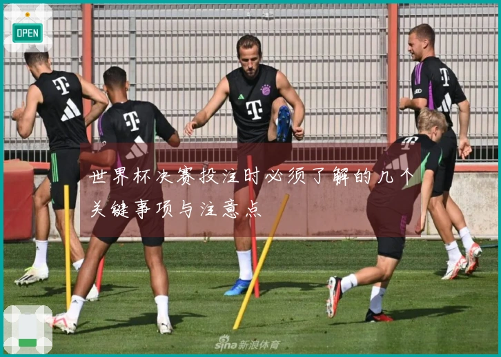 世界杯决赛投注时必须了解的几个关键事项与注意点