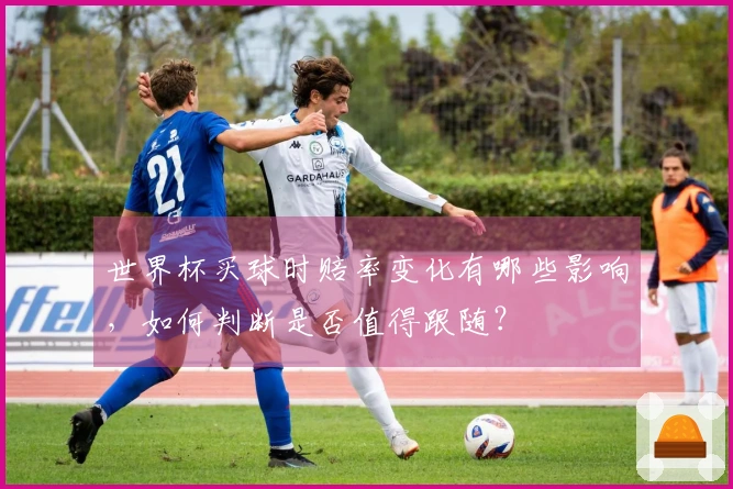 世界杯买球时赔率变化有哪些影响，如何判断是否值得跟随？