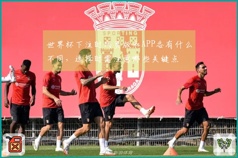 世界杯下注时网页版和APP各有什么不同，选择时需注意哪些关键点