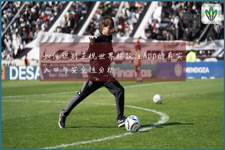 如何识别正规世界杯投注App的真实入口与安全性分析