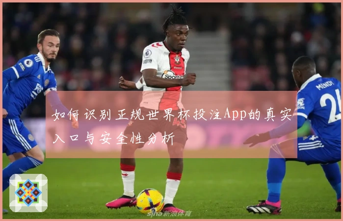 如何识别正规世界杯投注App的真实入口与安全性分析