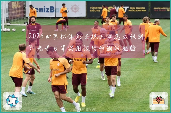 2026世界杯体彩正规入口怎么识别？老手分享实用技巧和避坑经验